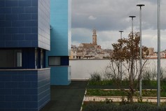 PALO ASILO-12.jpg