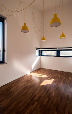 PALO ASILO-20.jpg